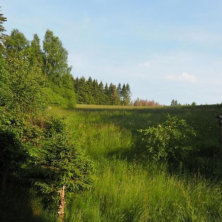 Ferienwohnung Am Kunstberg 29 Altenau  Zewnętrze zdjęcie