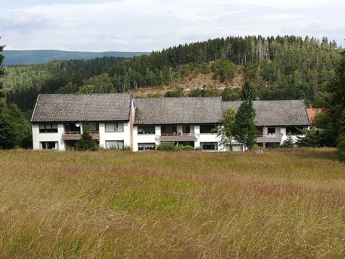 Ferienwohnung Am Kunstberg 29 Altenau  Zewnętrze zdjęcie