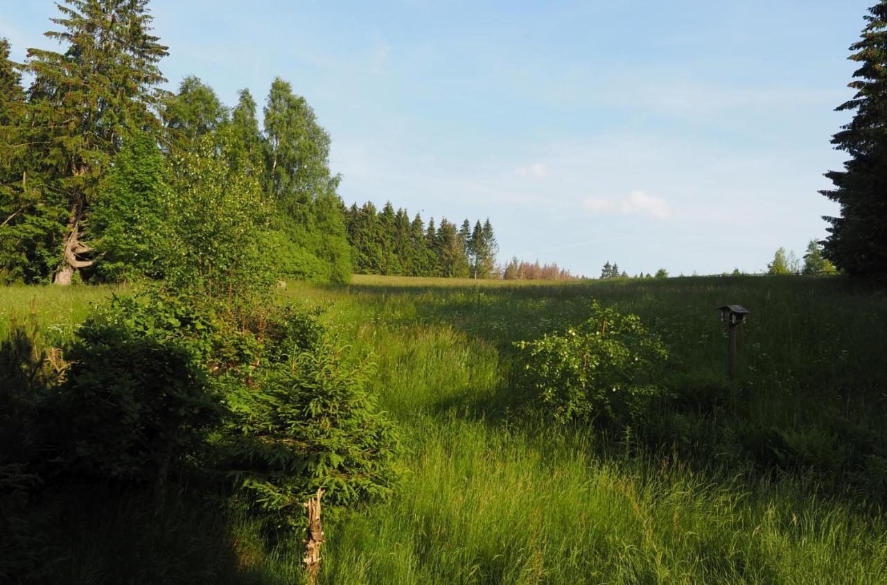 Ferienwohnung Am Kunstberg 29 Altenau  Zewnętrze zdjęcie